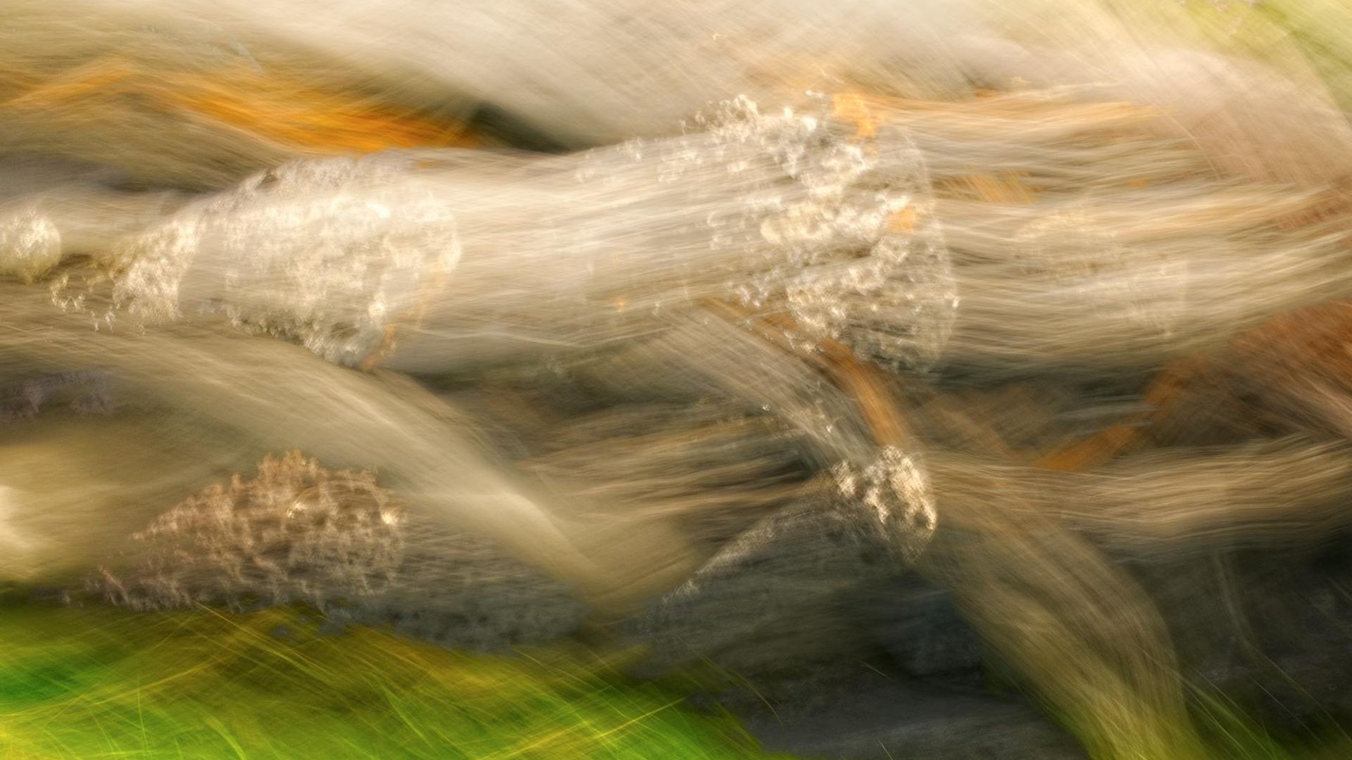 Abstract representation of fluid motion and energy lines.